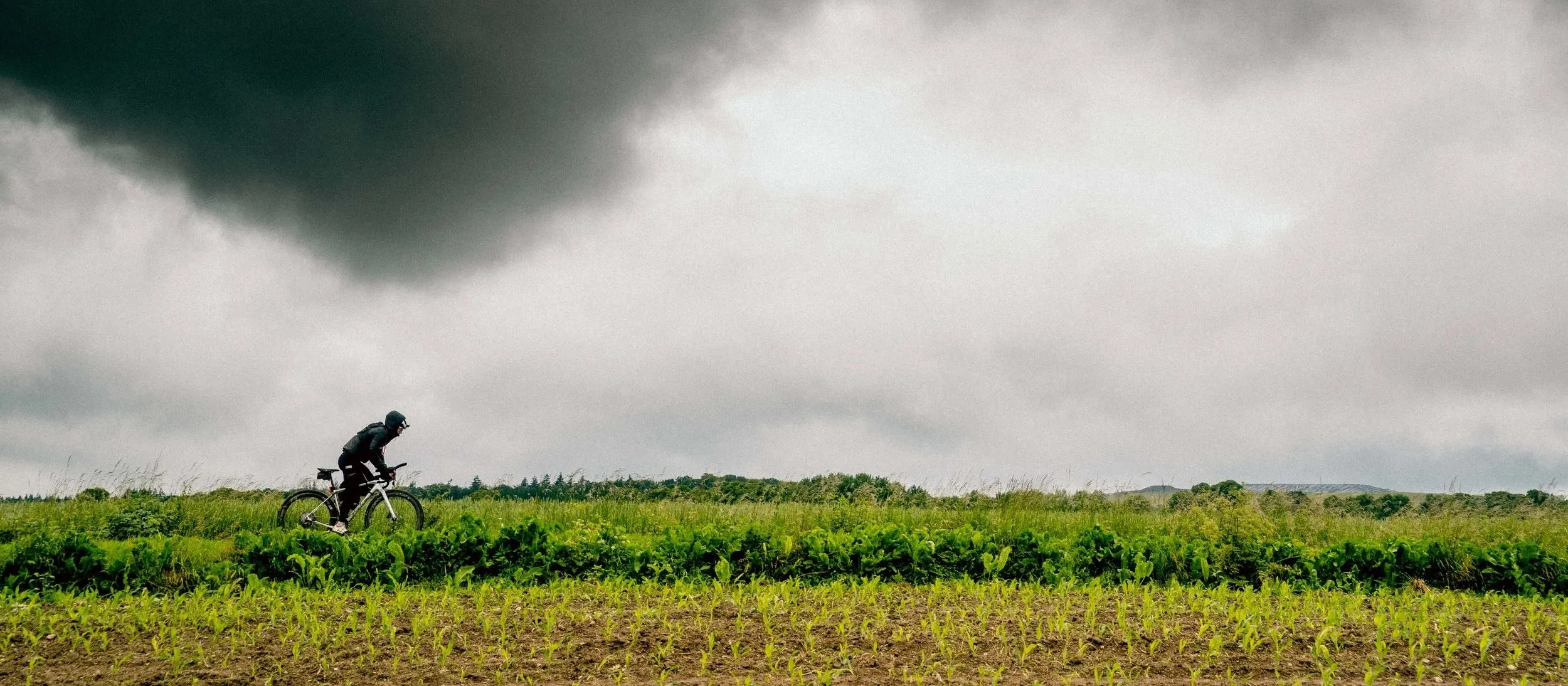 Hamburg's Backyard — Gravel & Stille