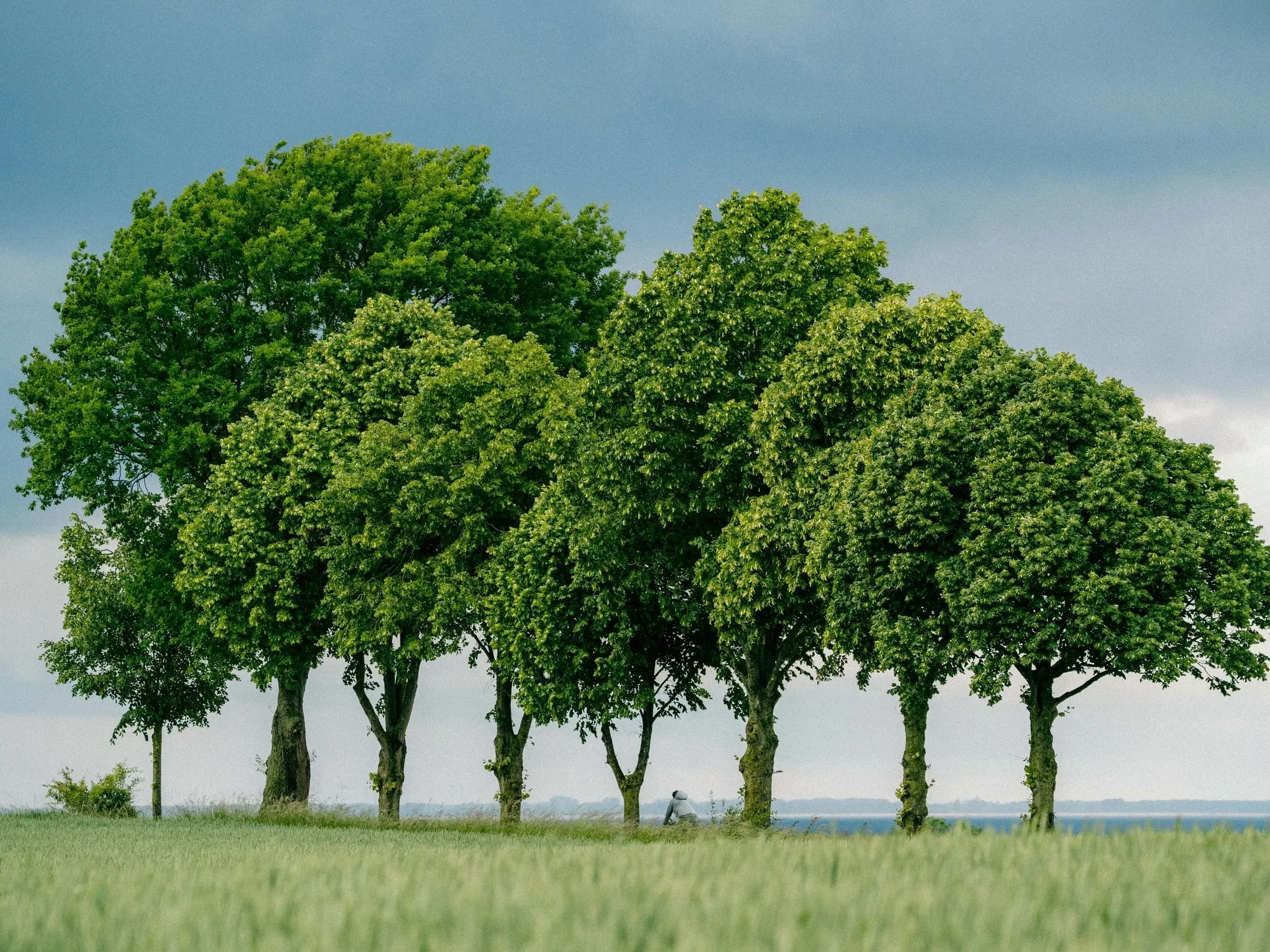 Unterwegs im Norden — Hamburg's Backyard Ultra