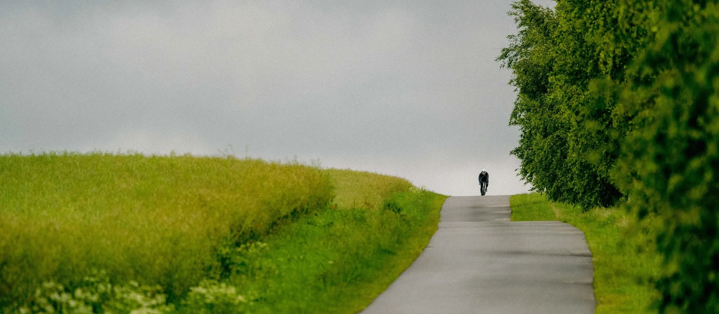 Start in Hamburg — Hamburg's Backyard Ultra